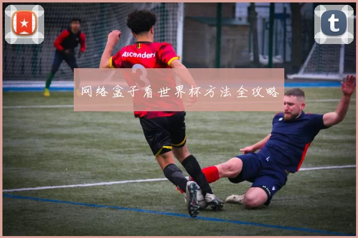 网络盒子看世界杯方法全攻略