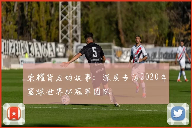 荣耀背后的故事：深度专访2020年篮球世界杯冠军团队