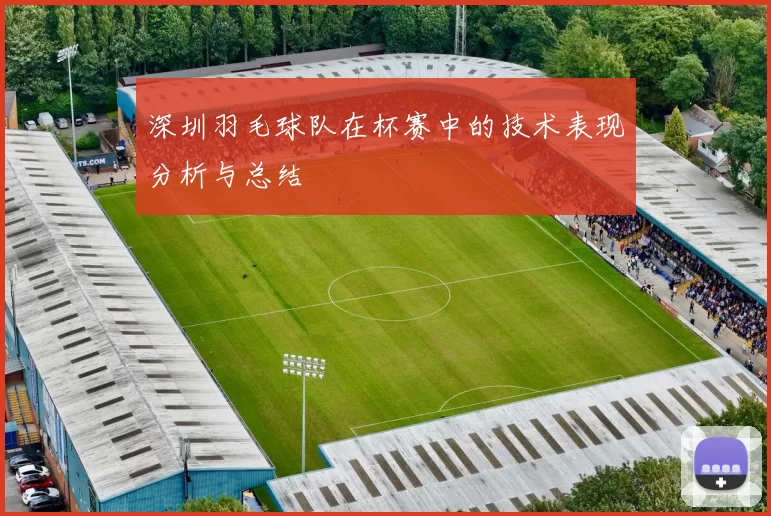 深圳羽毛球队在杯赛中的技术表现分析与总结