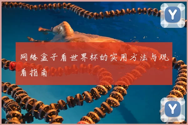 网络盒子看世界杯的实用方法与观看指南
