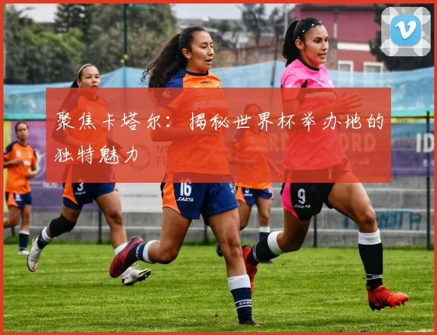 聚焦卡塔尔：揭秘世界杯举办地的独特魅力