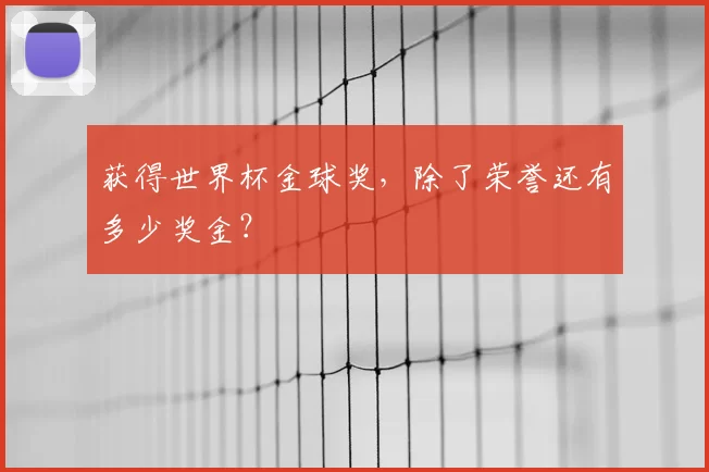 获得世界杯金球奖，除了荣誉还有多少奖金？