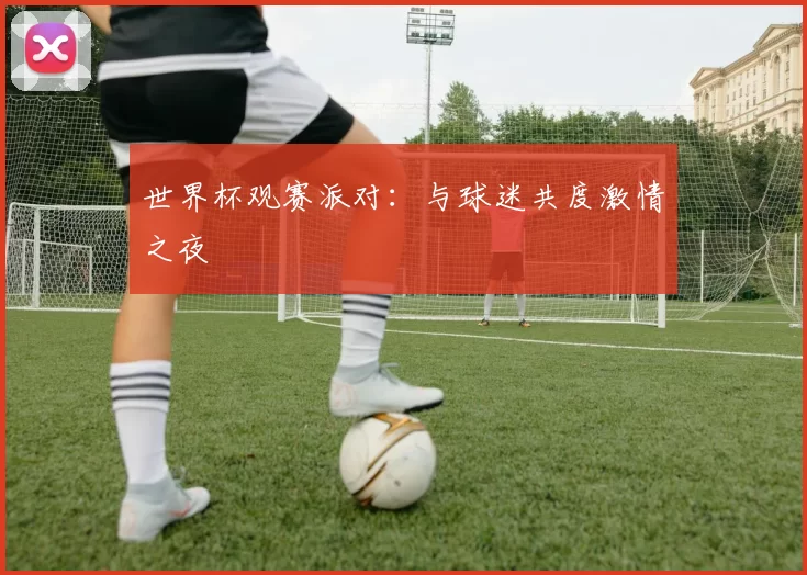 世界杯观赛派对：与球迷共度激情之夜