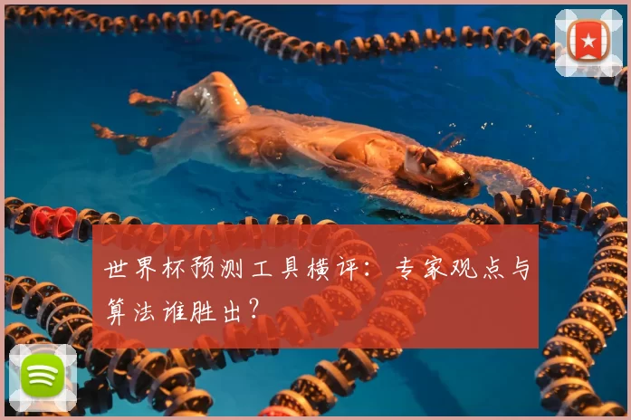 世界杯预测工具横评:专家观点与算法谁胜出?